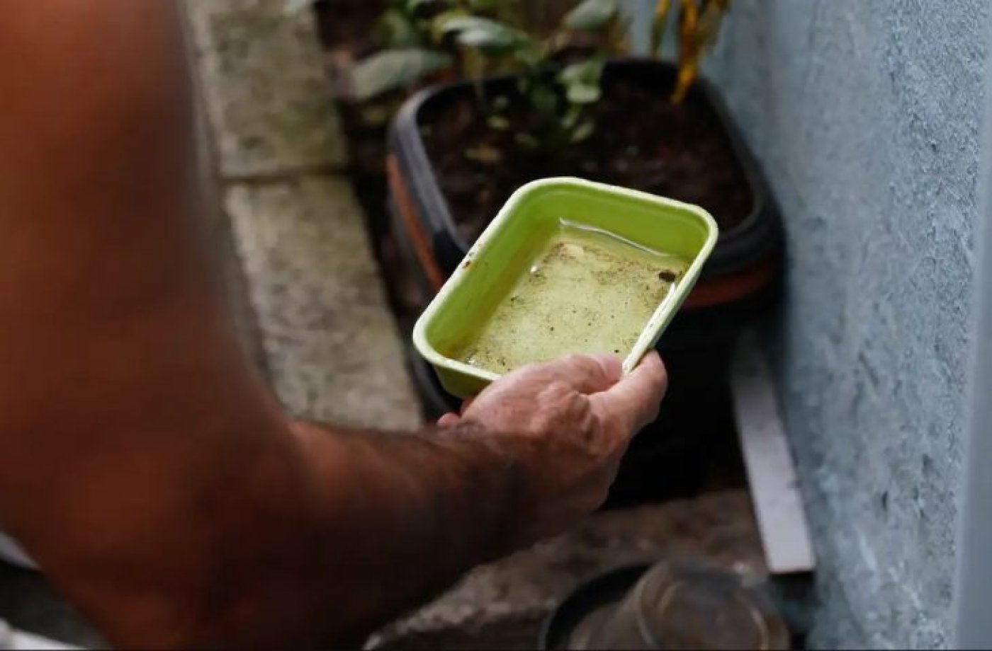 Mato Grosso do Sul será incluído em estratégia piloto de vacinação contra chikungunya